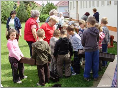 Madarak s fk napja az vodban