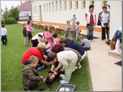 Madarak s fk napja az vodban