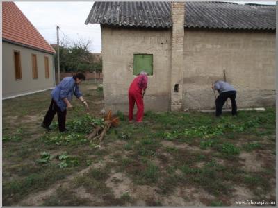 Takartsi vilgnap