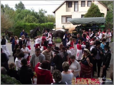 Szüreti felvonulás 2010. - Csati-parti