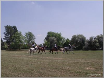 Gyermeknap 2011.